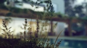 Architecture Visualization