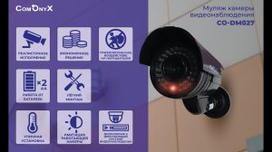 Распаковка уличного муляжа видеокамеры СomOnyX CO-DM027