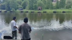Светлые Горы Карп4 31.05.2026г.