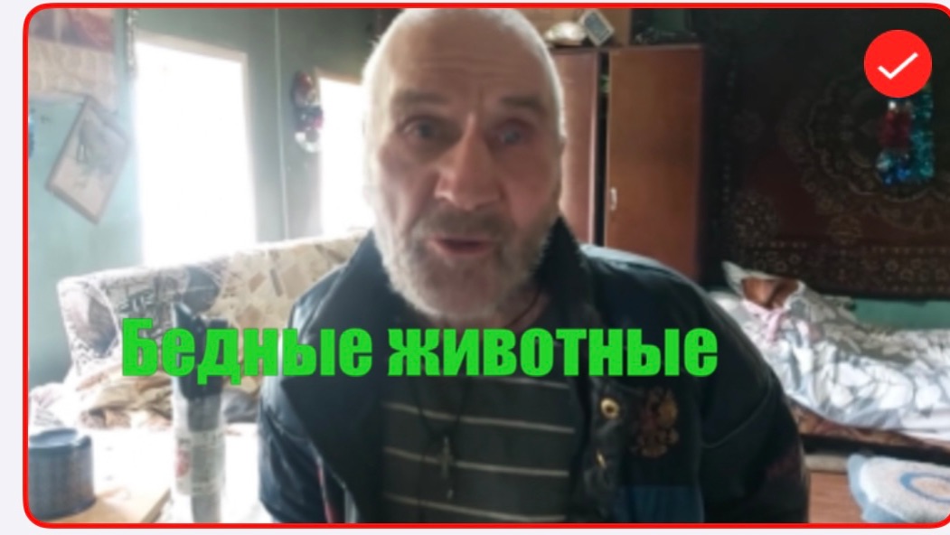 Быть Добру. Дед Матвей. Бедные животные смотреть онлайн