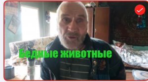 Быть Добру. Дед Матвей. Бедные животные