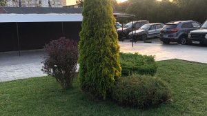 Едем в Анапу, на все включено