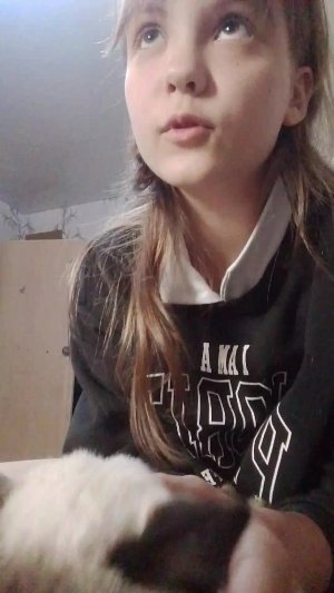 котя у Алисы