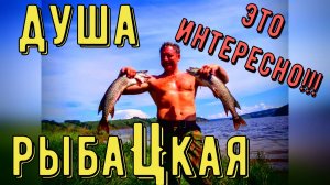 Смотреть всем РЫБАКАМ и ОХОТНИКАМ! Будет интересно!