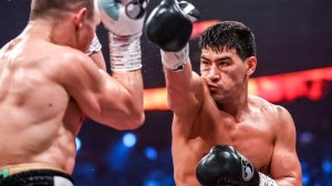 Бивол победил Айферта в бою за титулы WBA и IBF
