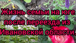 28.05.26/ Отвечаем на комментарии/ Неудачная поездка😒/ Новый аккумулятор/ Покупки/ Жизнь на юге/