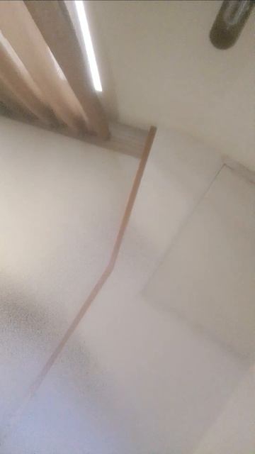 нянянянягняняннчнннняняняннянянянняняняняннчнчнчнянняннянннянянянянянянянянянянянняняяняняняняняняня
