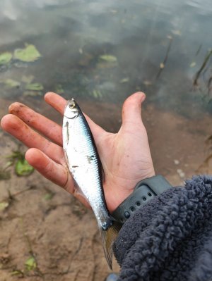 рыбалка