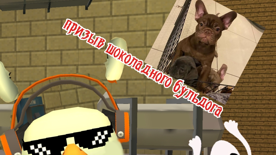 призыв шоколадного бульдога (очень страшно да мурашек)