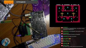 Пентагоноленинград Прямой эфир через restream.su