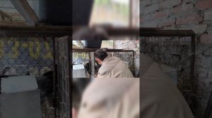 Наши будни