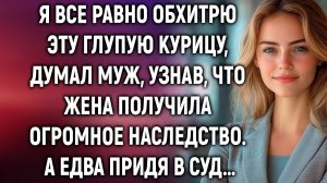 Глупая курица, думал муж, узнав, что жена получила огромное наследство. А едва придя в суд…