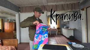 Крапива.
