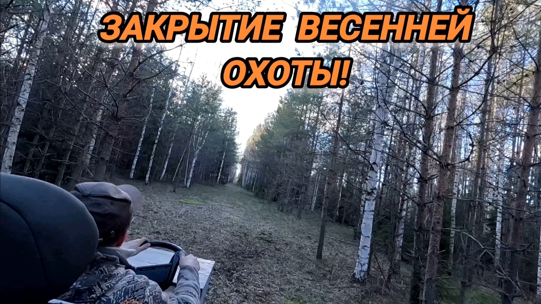 НА СЕВЕР ОБЛАСТИ ЗА ВАЛЬДШНЕПОМ! ТАКОЙ ТЯГИ Я НЕ ВИДЕЛ НИКОГДА!