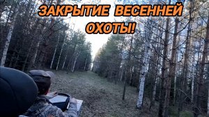 НА СЕВЕР ОБЛАСТИ ЗА ВАЛЬДШНЕПОМ! ТАКОЙ ТЯГИ Я НЕ ВИДЕЛ НИКОГДА!