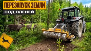 Перезапуск земли под оленей. Massey Fergusson 6713 c финским ротоватором MeriCrusher