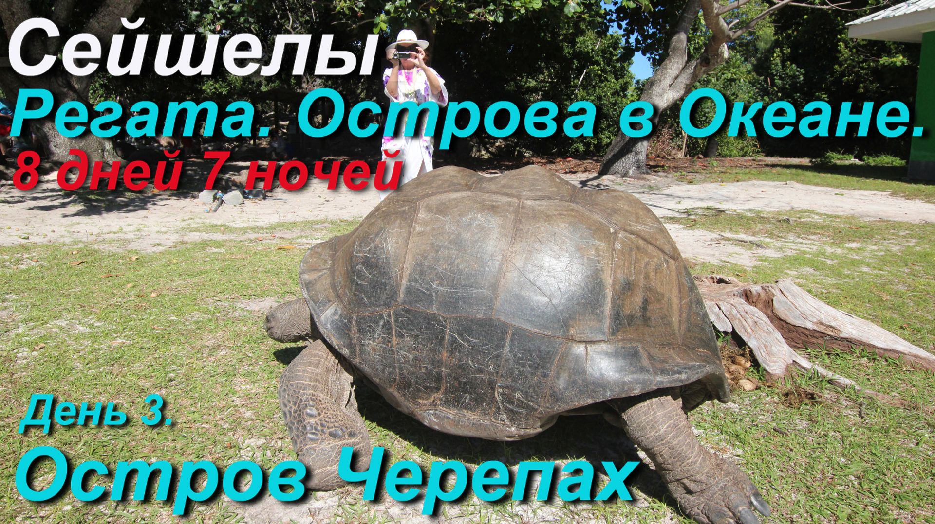 Сейшельская регата. Остров Черепах. (День 3) смотреть онлайн