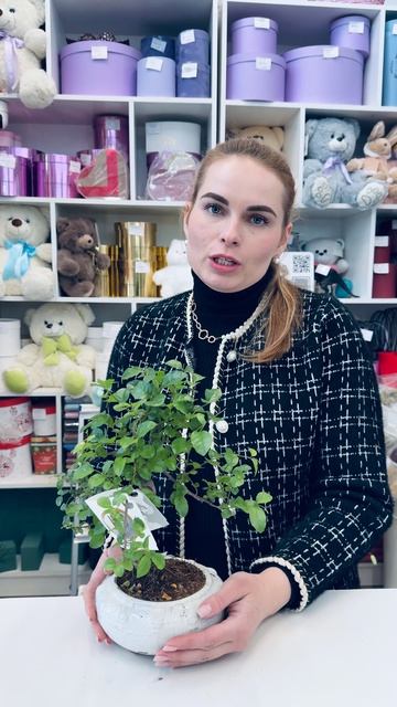 Jasminka.by