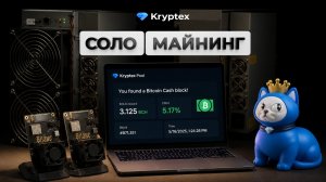 Соло майнинг: лотерея или реальный заработок?