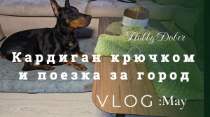 Вяжу трендовый кроше кардиган из шестиугольников 🧶 Влог: поездка за город с доберманом Кахой