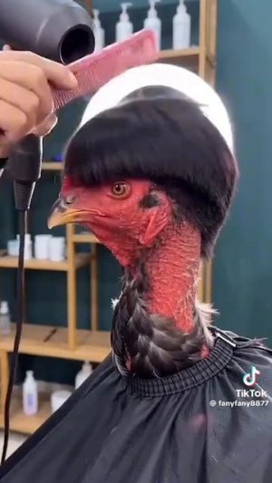 Стрижка 💇♀️