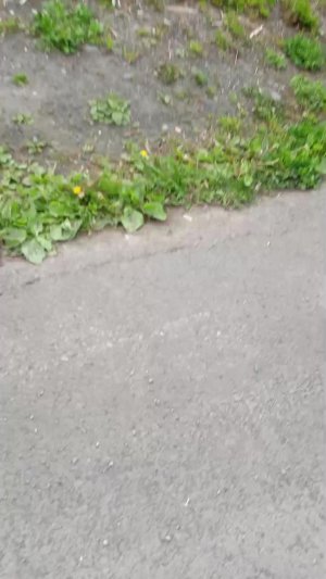 играем в футбол