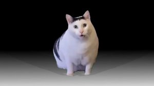 Котики###₽##мяу
