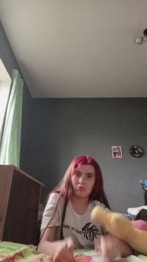 уточка 3