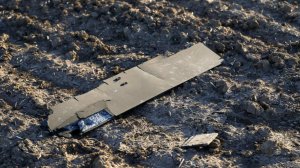 В Швейцарии указали на бессилие Прибалтики из-за дронов ВСУ