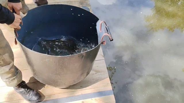 Доп запуск смотреть онлайн