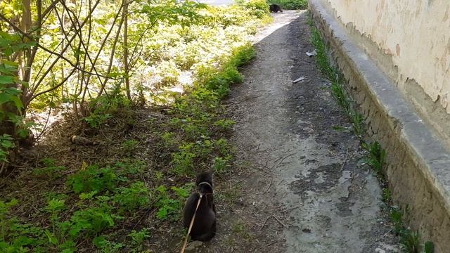 На улице красота. смотреть онлайн
