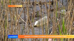 Окраину Рузаевки заливают канализационные стоки