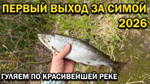 Сима. Рыбалка на красивейшей реке. #Сахалин #рыбалка #сима
