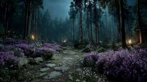 walking this quiet path when the world sleeps. 🌙