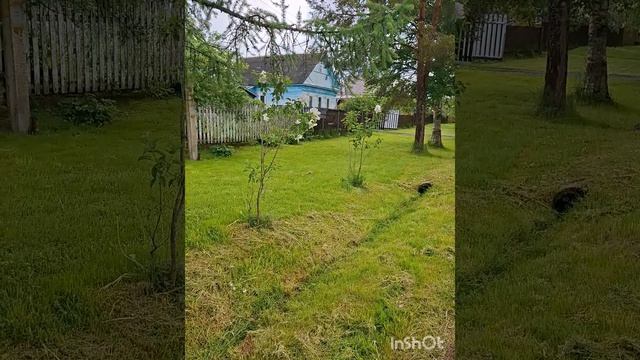 Последний весенний день. Конец мая. .mp4 смотреть онлайн