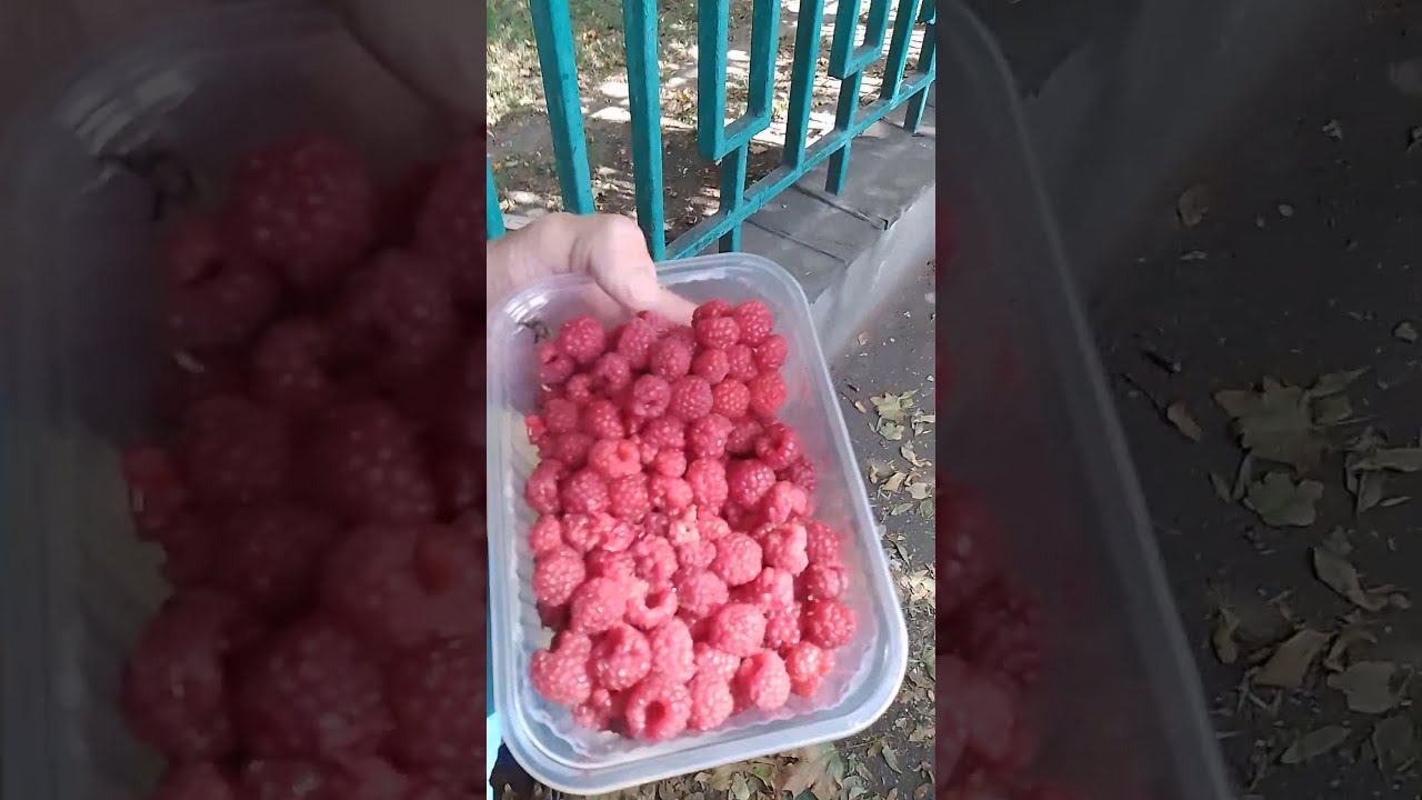 Продуктово-вещевой рынок в городе Ессентуки.