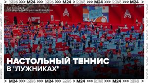 Фестиваль настольного тенниса стартовал в «Лужниках» - Москва 24