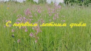 Здравствуй лето !