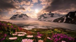 Аляска. Золотая лихорадка 💎