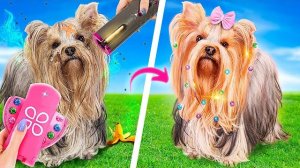 Полезные гаджеты и лайфхаки для домашних животных!