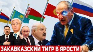 Армянский ТИГР в ЯРОСТИ! Мощный ответ Еревана странам ЕАЭС