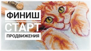 Продвижения за 10 дней | Финиш, старт| Вышивка крестом