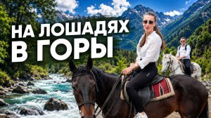 На лошадях к вершинам Сочи | Конная прогулка в горах