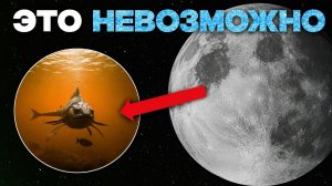 Луна ЖИВА? Китай только что разрушил всю планетологию