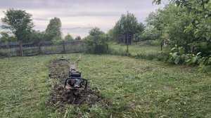Май 2026. От жары до дождя. Картошку не посадили.