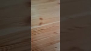 1000060615.mp4 (Собака наблюдает за выбором вариантов внутренних и наружных уголков в доме А-фрейм)