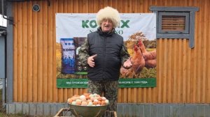 100 ЛЕТНИЙ СПОСОБ ОПРЕДЕЛЕНИЯ ЯЙЦЕНОСКОСТИ ВАШИХ КУР! 31.05.2026 г.