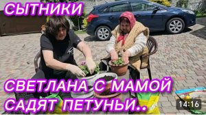САМВЕЛ АДАМЯН, СЫТНИКИ, МАМА И СВЕТА САДЯТ ПЕТУНЬИ..