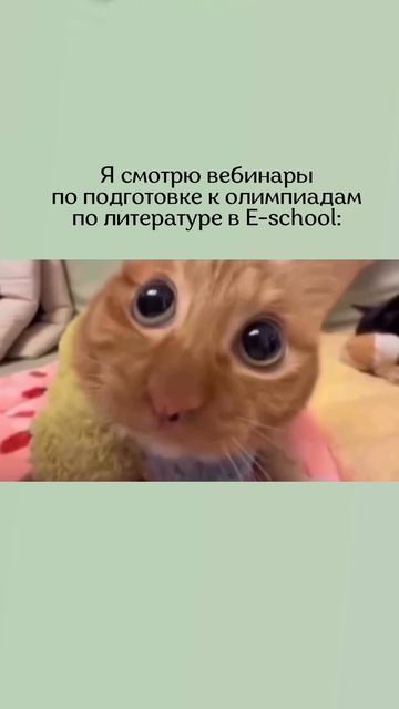 Канал про ЕГЭ и олимпиады по литературе! Подписывайся!