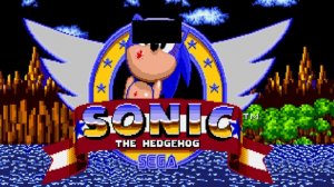 Sonic the hedgehog 1 creepypasta - Sonic's worst ending